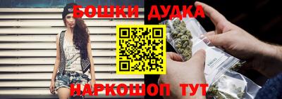 спайс Гай