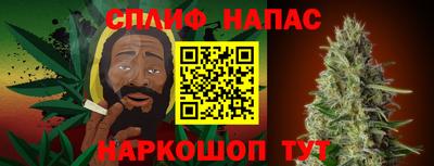 спайс Гай