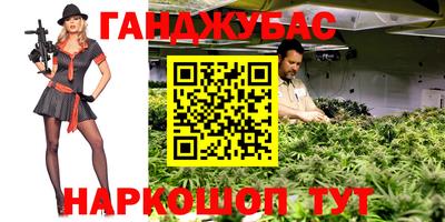 спайс Гай