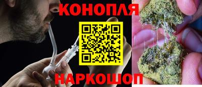 спайс Гай