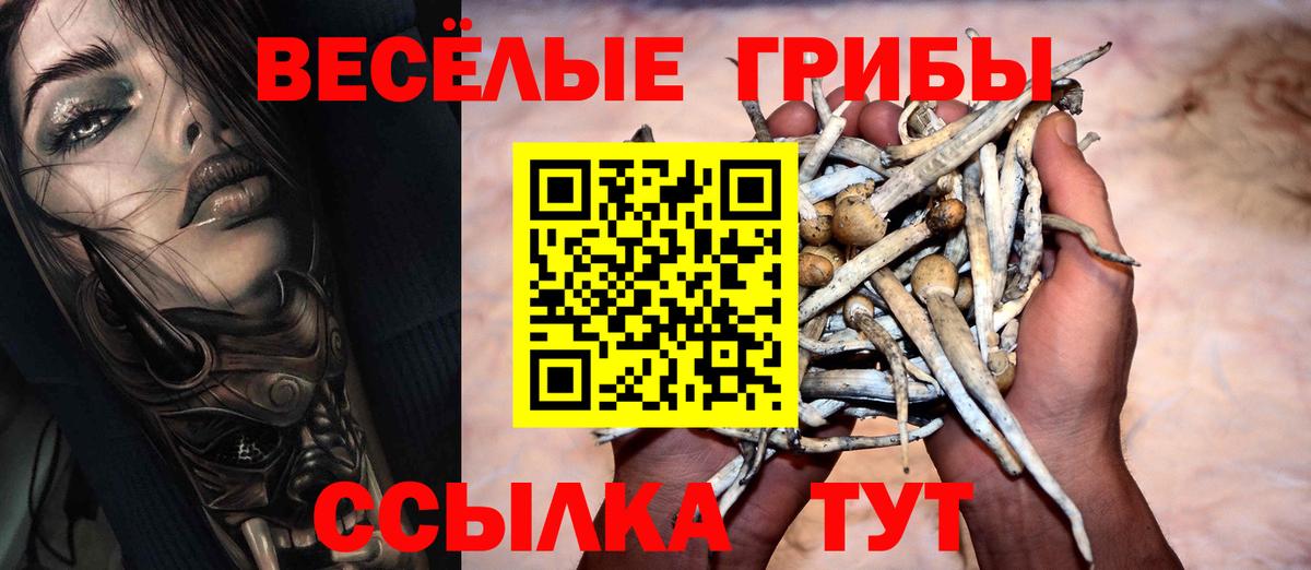Галлюциногенные грибы ЛСД  Вход с VPN  Псилоцибиновые грибы прущие грибы  Домодедово 